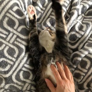 Meet your Posher, Leticia